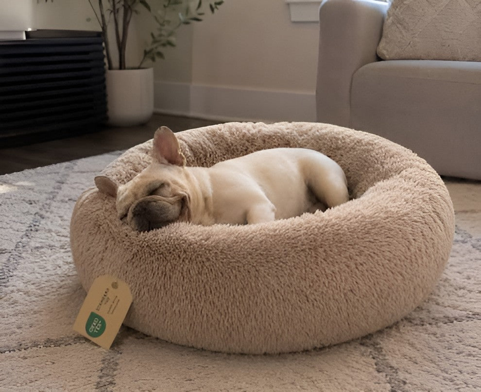 Cozy Pet Beds For Better Relaxation